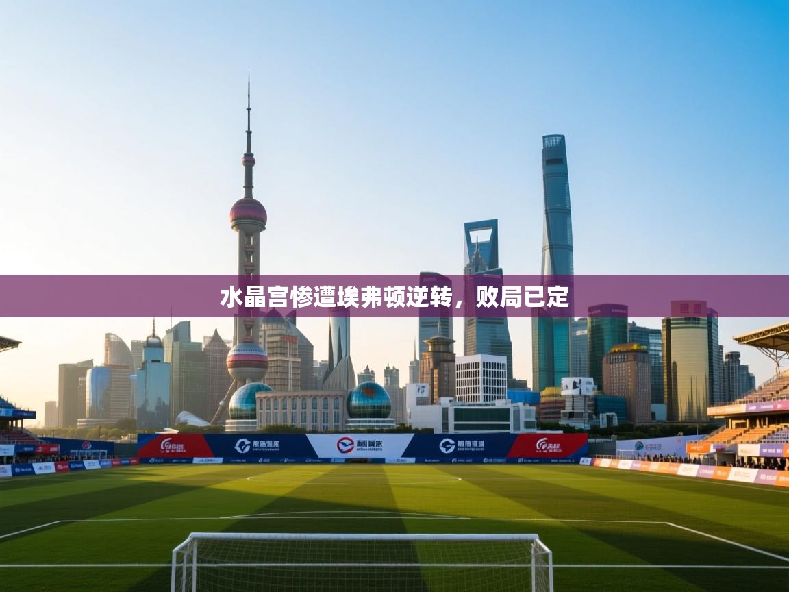 开云体育app登录入口-水晶宫惨遭埃弗顿逆转,败局已定 第2张