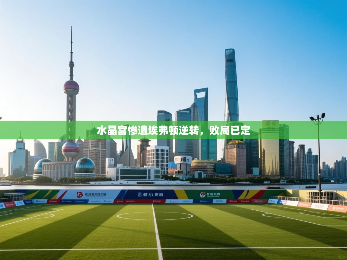 开云体育app登录入口-水晶宫惨遭埃弗顿逆转,败局已定 第4张