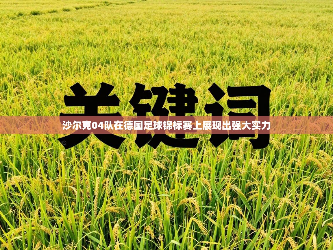 开云体育苹果版下载-沙尔克04队在德国足球锦标赛上展现出强大实力 第4张
