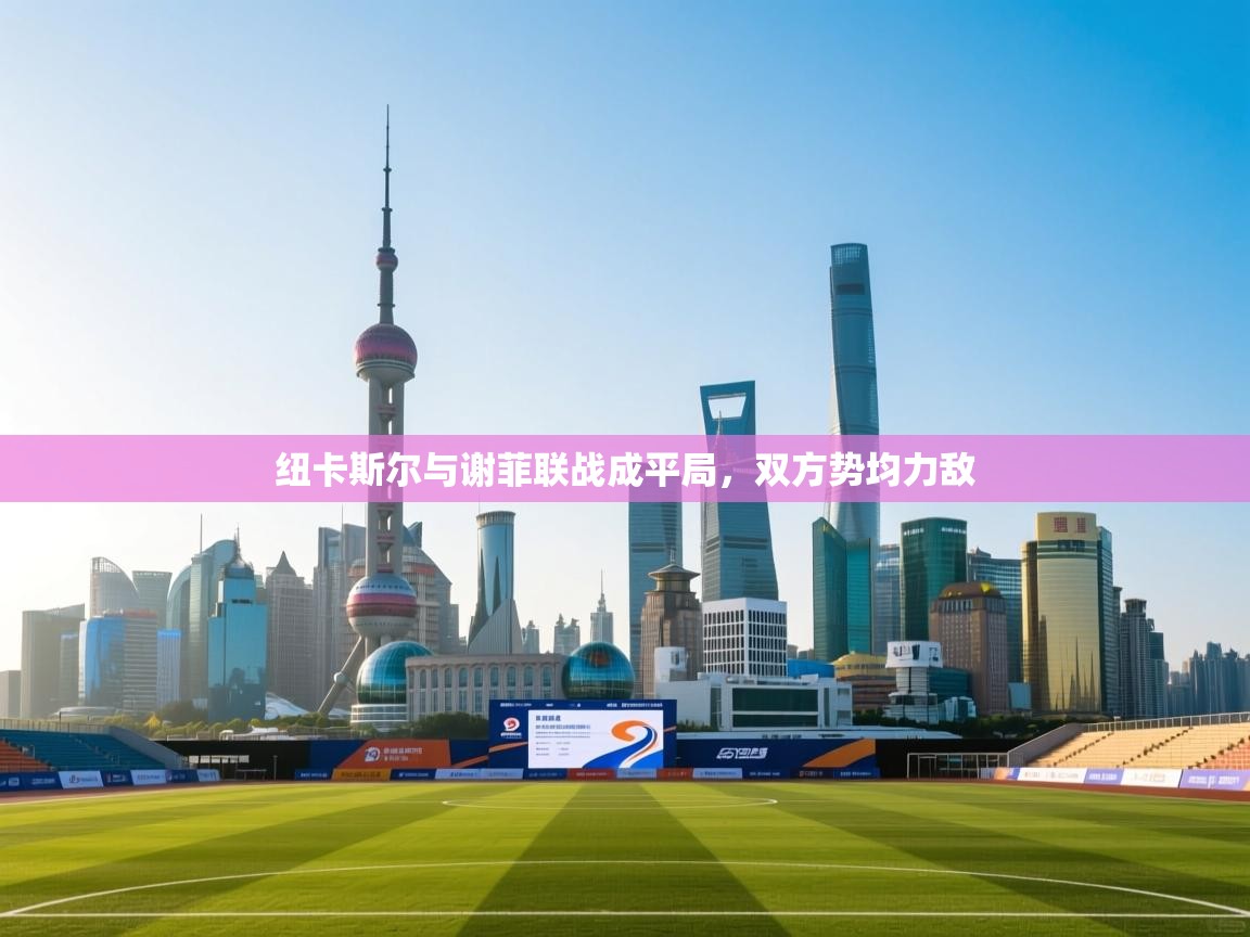 开云体育app在线-纽卡斯尔与谢菲联战成平局,双方势均力敌 第1张